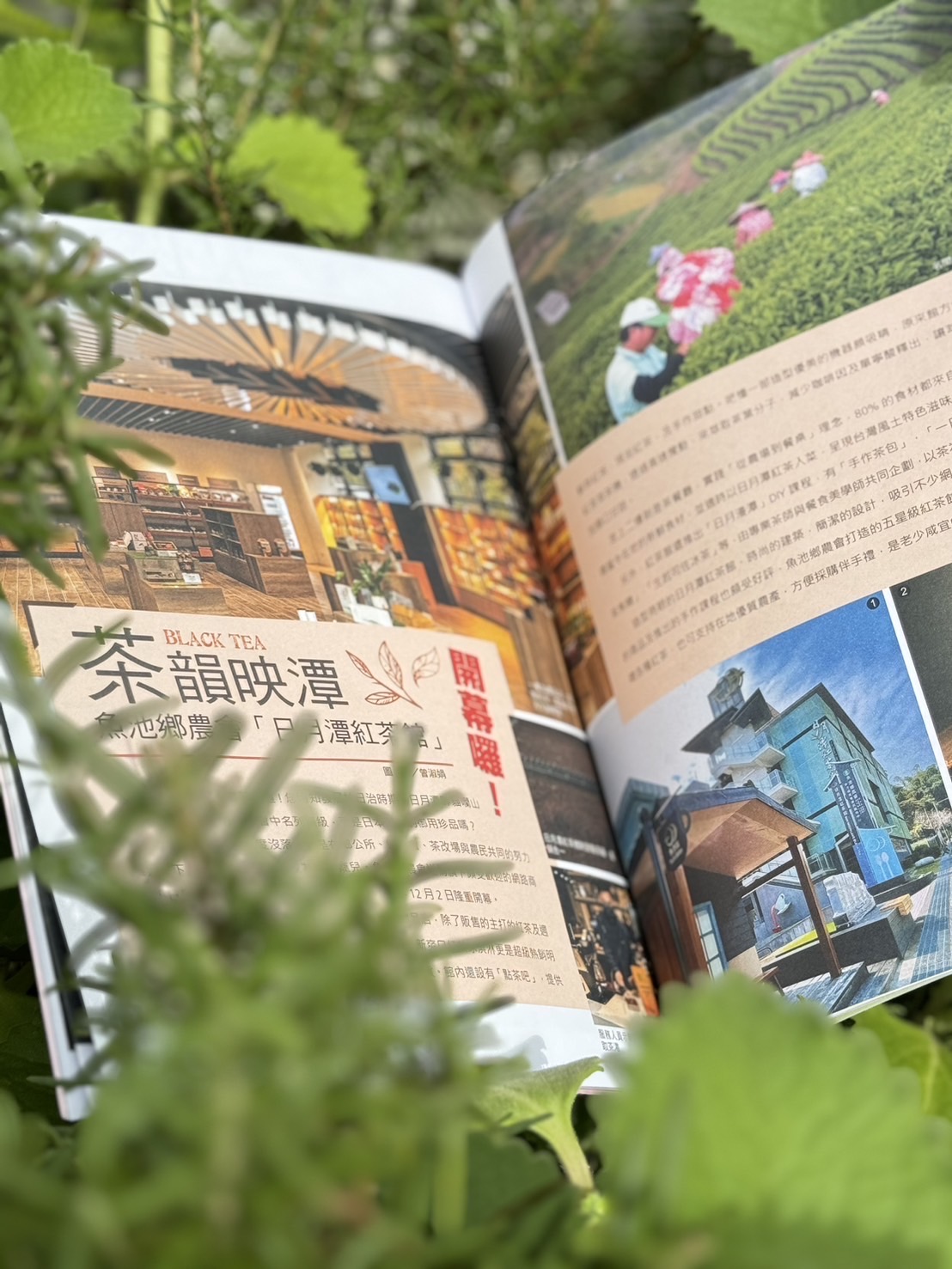 南投風華 2