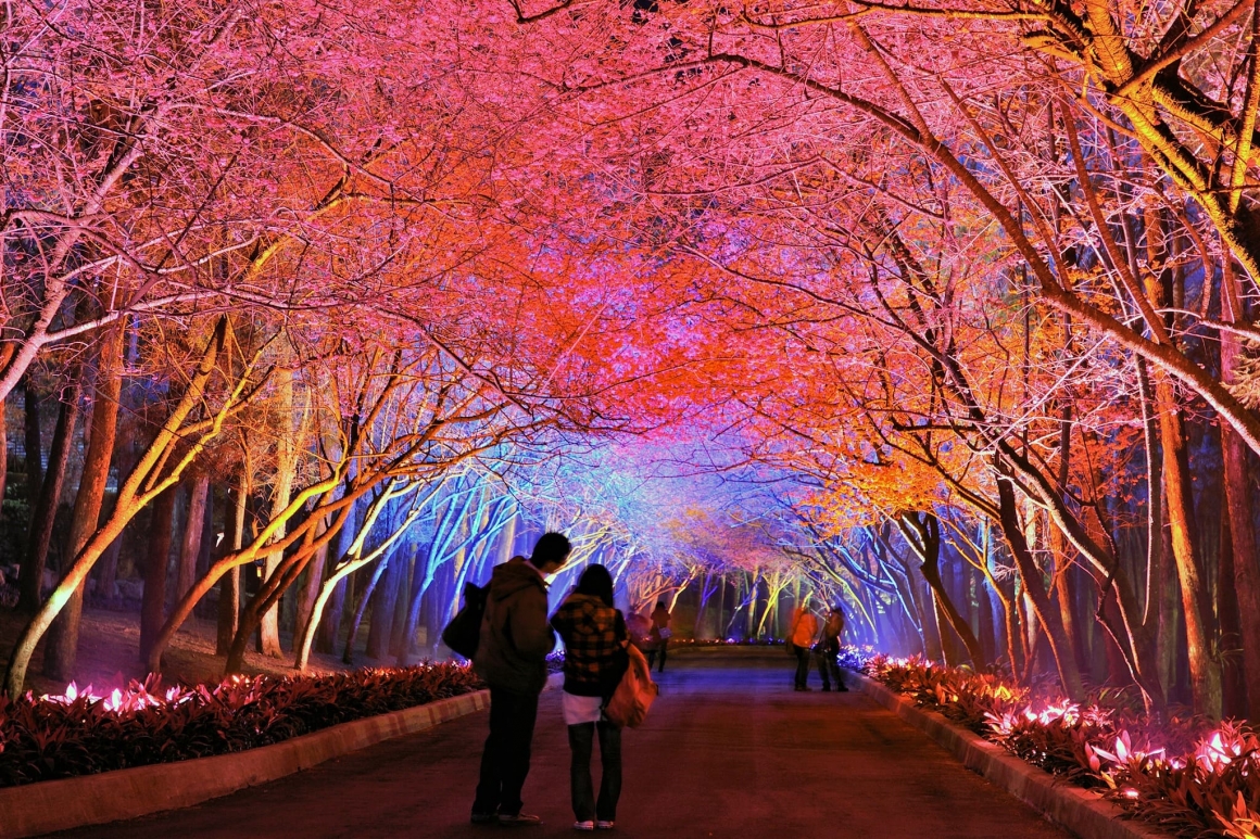 2026九族櫻花祭 (9)